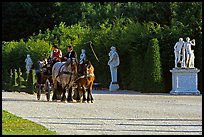 Horse carriage in an alley of the Versailles palace gardens. France ( color)