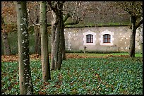 Estate of Chenonceaux chateau. Loire Valley, France ( color)