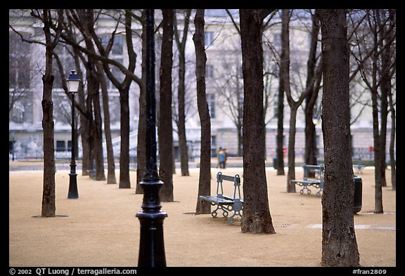 Park in winter, place Dauphine, ile de la Cite. Paris, France (color)