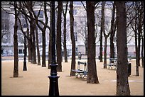 Park in winter, place Dauphine, ile de la Cite. Paris, France ( color)
