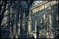 Notre Dame Cathedral buttress detail. Paris, France (color)