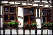 Detail of half-timbered house. Strasbourg, Alsace, France (color)
