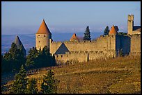 Historic fortified city. Carcassonne, France ( color)