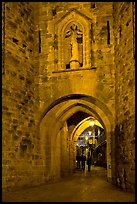 Porte Narbonaise gate by night. Carcassonne, France (color)