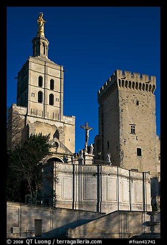 Romanesque Cathedral of Notre-Dame-des-Doms. Avignon, Provence, France (color)