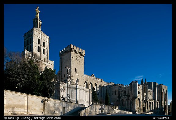 Cathedral of Notre-Dame-des-Doms and Palace of the Popes. Avignon, Provence, France (color)