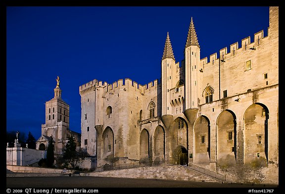 Palace of the Popes and Cathedral at night. Avignon, Provence, France (color)