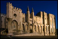Gothic facade of Papal Palace at night. Avignon, Provence, France (color)