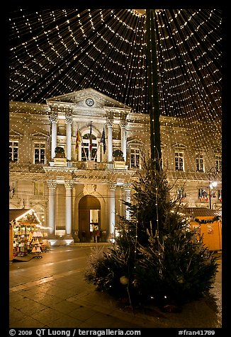 Christmas Tree and City Hall at night. Avignon, Provence, France