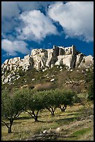 Olive orchard and village perched on cliff, Les Baux-de-Provence. Provence, France