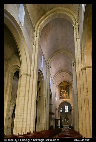 Romanesque style nave, St Trophime church. Arles, Provence, France (color)