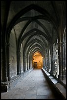 Gothic gallery, St Trophimus cloister. Arles, Provence, France (color)