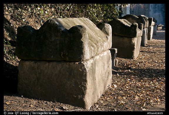 Sarcophagi lining main path, Alyscamps. Arles, Provence, France (color)