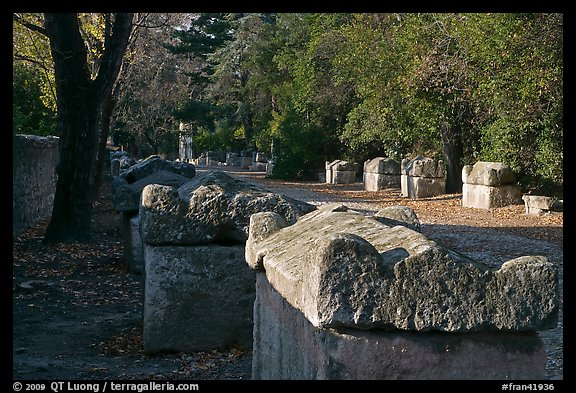 Burial grounds, Alyscamps necropolis. Arles, Provence, France