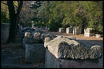 Burial grounds, Alyscamps necropolis. Arles, Provence, France (color)