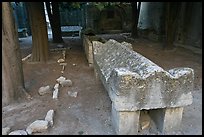 Sarcophagus, Alyscamps. Arles, Provence, France (color)