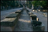 Rows of tombs on Alyscamps ancient burial grounds. Arles, Provence, France