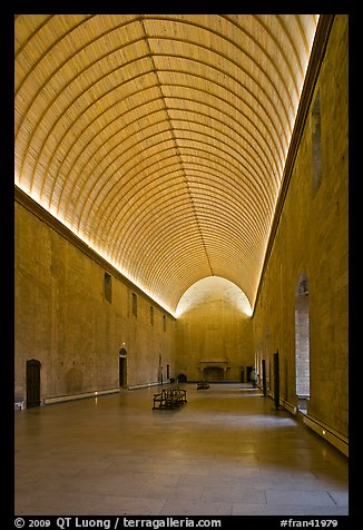 Room with vaulted ceilling, Palace of the Popes. Avignon, Provence, France