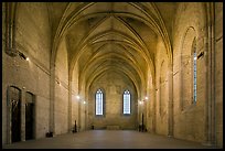 Chapel, Palais des Papes. Avignon, Provence, France (color)
