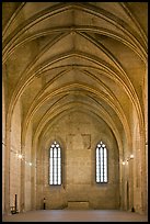 Chapel, Palace of the Popes. Avignon, Provence, France