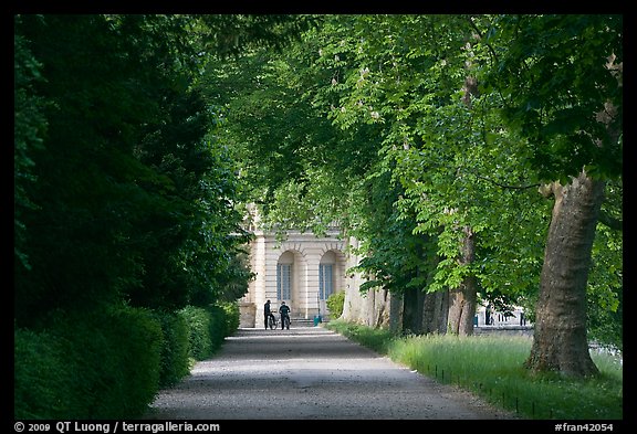 Forested alley and palace, Fontainebleau Palace. France