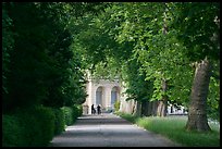 Forested alley and palace, Fontainebleau Palace. France (color)