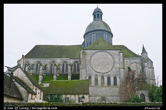 Mossy roofs and dome, Saint Quiriace Collegiate Church, Provins. France