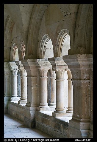 Detail of columns, the cloister, Fontenay Abbey. Burgundy, France (color)