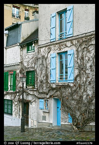 House with blue shutters and bare ivy, Montmartre. Paris, France