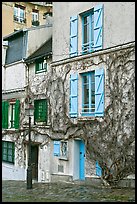 House with blue shutters and bare ivy, Montmartre. Paris, France