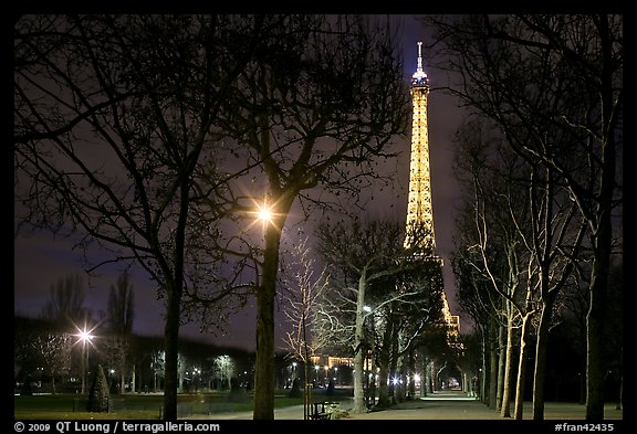 Trees in Champs de Mars and Eiffel Tower at night. Paris, France (color)