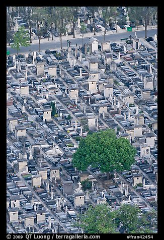 Tombs in Cimetierre du Montparnasse seen from above. Paris, France (color)