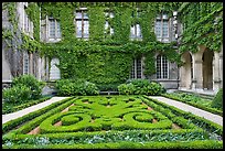 Formal garden in courtyard of hotel particulier. Paris, France (color)