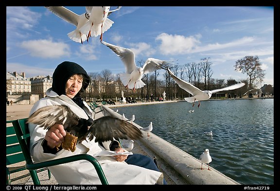 Elderly woman and seagulls, Tuileries garden. Paris, France
