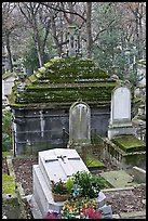 Mossy tombs, Pere Lachaise cemetery. Paris, France ( color)