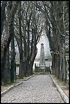 Trees and memorial, Pere Lachaise cemetery. Paris, France ( color)