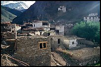 Ichack Village, Zanskar, Jammu and Kashmir. India ( color)
