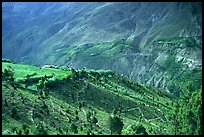Verdant valley, Lahaul, Himachal Pradesh. India ( color)
