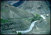 Zanskar River valley with cultivation patches, Zanskar, Jammu and Kashmir. India ( color)