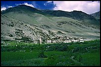 Field of barley grasses, village, and hills, Zanskar, Jammu and Kashmir. India ( color)