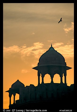 Bird and wall pavilions of Red fort, sunrise. New Delhi, India (color)