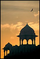 Bird and wall pavilions of Red fort, sunrise. New Delhi, India (color)