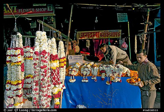 Flower shop. New Delhi, India (color)