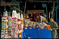 Flower shop. New Delhi, India ( color)
