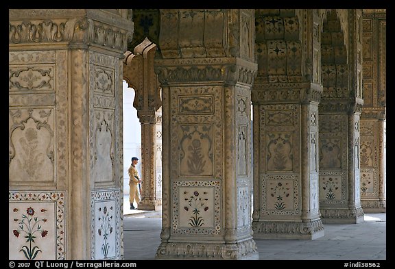 Row Columns and guard, Royal Baths, Red Fort. New Delhi, India (color)