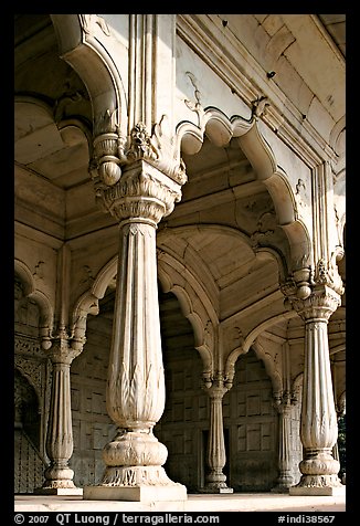Thin columns, Khas Mahal, Red Fort. New Delhi, India (color)