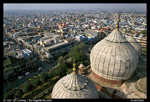 Domes of Jama Masjid mosque and Old Delhi from above. New Delhi, India (color)