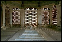 Tomb of Imam Zamin, Qutb complex. New Delhi, India ( color)