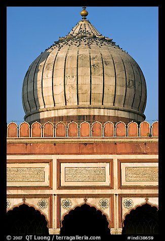 Dome and prayer hall arches, Jama Masjid. New Delhi, India (color)