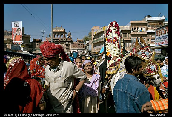 Groom covered in flowers and riding horse during Muslim wedding. Jodhpur, Rajasthan, India